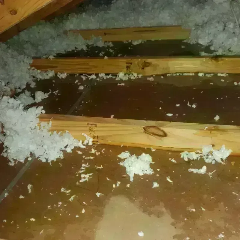 Attic Water Damage in Elkhart, TX