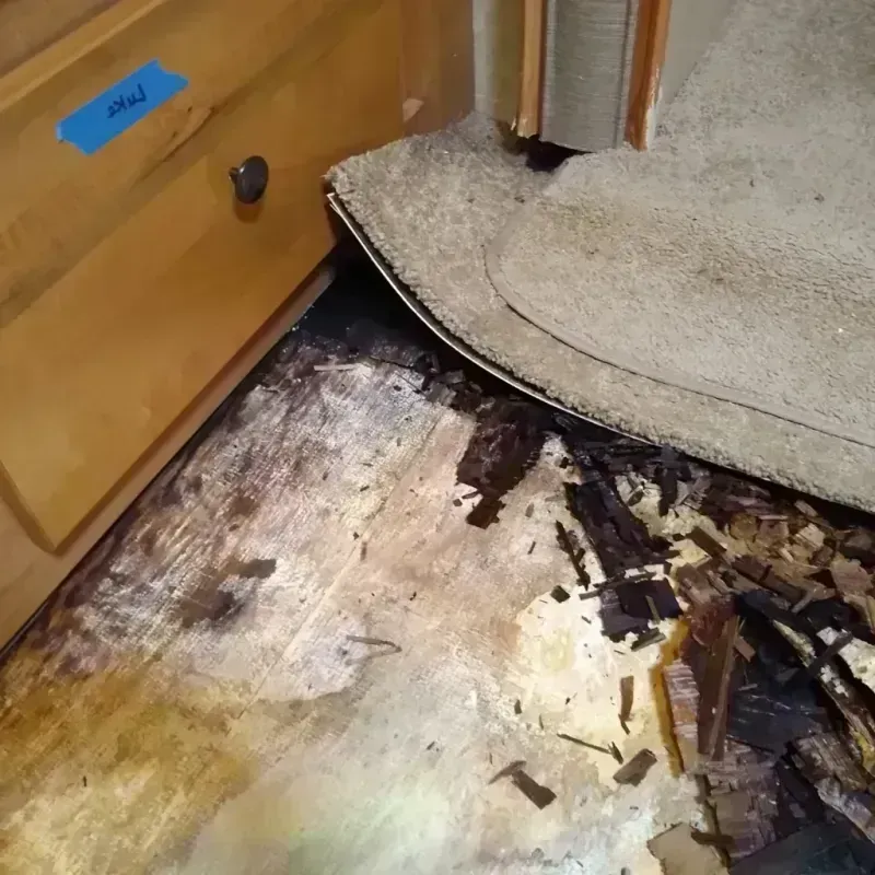 Wood Floor Water Damage in Elkhart, TX